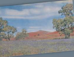 (605) Australia - SA- Flinders Ranges - Autres & Non Classés