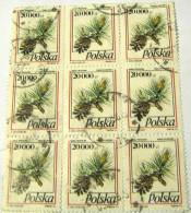 Poland 1993 Tree And Pine Cone Pinus Sylvestris 20zl X9 - Used - Used Stamps