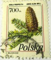 Poland 1991 Tree And Cone Abies Alba Mill 700 - Used - Used Stamps