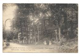 Bois-de-Cise (80) : Le Carrefour Du Vieux Chêne En 1910 (animé, Voiture). - Bois-de-Cise