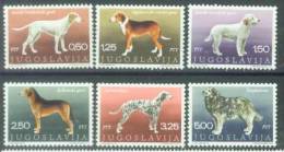 YU 1970-1390-5 DOGS, YUGOSLAVIA, 6v, MNH - Nuevos