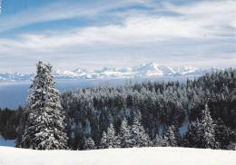 Cp , RÉGIONS , RHÔNE-ALPES , La Chaîne Du Mont-Blanc - Rhône-Alpes