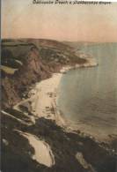 (369) Very Old Postcard - Carte Ancienne - UK - Babbacombe Slopes - Torquay