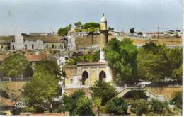 CPSM TIARET (Algérie) - La Grande Mosquée - Tiaret