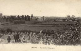 59 Cassel. Vue De La Campagne - Cassel