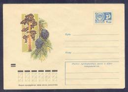 8452 RUSSIA 1972 ENTIER COVER Mint TREE ARBRE BAUM PINE KIEFER PIN PLANT PLANTE PLANTES NATURE USSR 72-484 - 1970-79
