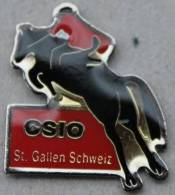 SAUT A CHEVAL - CSIO ST GALLEN - SCHWEIZ - SAINT GALL - SUISSE   -         (ROUGE) - Altri & Non Classificati