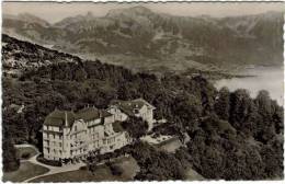 Suisse - Chexbres  Hotel Du Signal Et Son  Parc - Chexbres