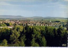 Allemagne - Donaueschingen - Vue Générale - Donaueschingen