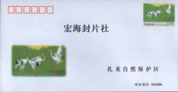 CHINA PF-92 BIRDS'S HOEMLAND-ZHA LONG P-COVER 120CENT - Omslagen