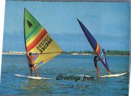 (300) Australia - NSW - Iluka And Sail Boarding - Andere & Zonder Classificatie