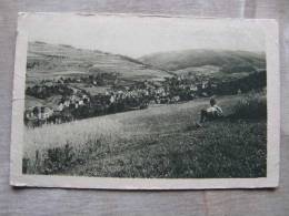 Blick Von Der Albertshöhe Auf BRUNNDÖBRA Und Klingenthal    D94726B - Klingenthal