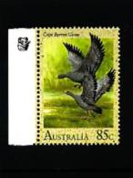 AUSTRALIA - WATERBIRDS  85 C.  CAPE BARREN GOOSE   REPRINT 1 KOALA  MINT NH - Essais & Réimpressions