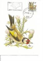 Oiseaux -Buzin - Chardonneret ( CM De Belgique De 1985 à Voir) - Sin Clasificación