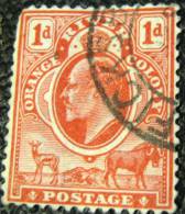 Orange River Colony 1903 King Edward VII 1d - Used - Oranje-Freistaat (1868-1909)