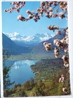 CP Photo Sarnersee Mit Giswil Wetterhorn Agfa C 185 Voyagé 1965 Timbre Cachet Wilen - Giswil