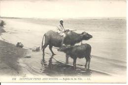 156. BUFFALOS IN THE NILE. EGYPTIAN TYPES AND SCENES.  / LL - Personas