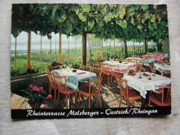 Molsberger's Rheinterrasse Und Weinstube - OESTRICH / RHIENGAU    D94988 - Rheingau