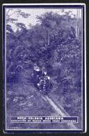 SAO TOME AND PRINCIPE (Africa) - Roça Colonia Açoriana - Condução De Cacau Seco Para Embarque - Sao Tome And Principe