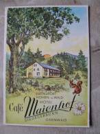 Höhen Und Waldhotel Café MAIENHOF - SIEDELSBRUNN -Odenwald      D95008 - Odenwald