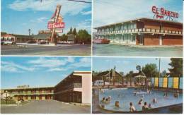 East Rock Springs WY Wyoming, El Rancho Lodge Motel, Autos Pool C1960s/70s Vintage Postcard - Rock Springs