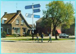 Postcard - Elim   (V 16358) - Andere & Zonder Classificatie