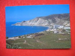 Pissouri Bay:Beach And Vineyards - Chypre