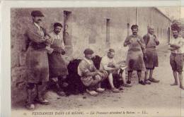 Gironde  33. Vendanges Dans Le Médoc.. Les Presseurs Attendent Le Raisin ...Viticulture - Otros & Sin Clasificación