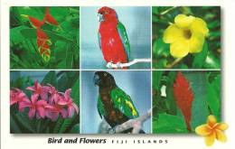 Fiji Islands - Fidji - CPM Neuve - Unused Postcard - Flowers And Birds - Oiseaux Et Fleurs - Fiji