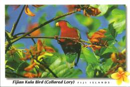 Fiji Islands - Fidji - CPM Neuve - Unused Postcard - Birds - Oiseaux - Fiji