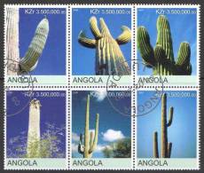 Angola 2000 Cactus - Cactii Block Of 6 CTO - Sukkulenten
