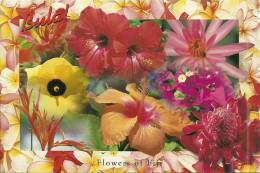 Fiji Islands - Fidji - CPM Neuve - Unused Postcard - FLEUR - FLOWER - FLORE - Fiji