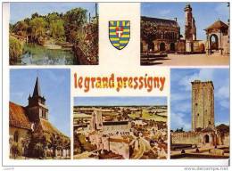 LE GRAND PRESSIGNY  - 5 Vues  : Paysage - Tour Vironne Et Puits - Eglise - Château - Tour Vironne - Le Grand-Pressigny