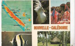 BR49577 Noumea Nouvelle Caledonie Ile Du Printemps Eternel    2 Scans - Nouvelle-Calédonie