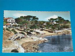 13) Carry - N° 1 - Carte Photo - Le Cap Rousset -  Année 1961 - EDIT - Tardy - Carry-le-Rouet