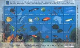 BRAZIL 1998  International Year Of The Ocean - Blocks & Sheetlets