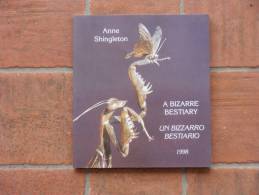 ANNE SHINGLETON - UN BIZZARRO BESTIARIO - Arts, Architecture