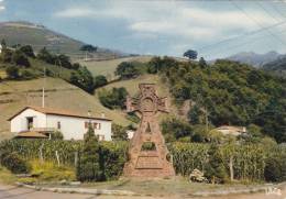 Cp , RÉGIONS , AQUITAINE , Pays Basque , Croix Basque à Bidarray - Aquitaine