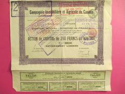 Compagnie Immobiliére Et Agricole Du CANADA/Action De Capital De 250 Francs Au^porteur/Anvers /1906        ACT38 - Agricoltura