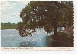 BR49864 Magnolia Platation And Gardens Charlston      2 Scans - Charleston