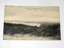 Carte Postale Ancienne : TAHITI : Pointe De Venus , Haapape - Polynésie Française