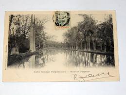 Carte Postale Ancienne : MAURITIUS : Jardin Botanique Pamplemousses , Bassin De Farquhar Avec Timbre - Maurice