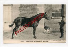 OMAR-Etalon Trotteur-par BEMECOURT Et JAMES WATT-Courses Hippiques-Sport-Elevage-Edit.ARGENTAN-Etat Superbe-Dept.61-27- - Horse Show