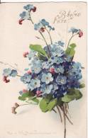 Carte Postale Fantaisie C.KLEIN - Bouquet  Myosotis - FLEUR - Bonne Fête - Illustrateur - VOIR 2 SCANS - - Klein, Catharina