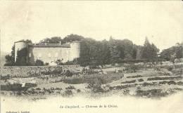 Le Cheylard Chateau De La Cheze - Le Cheylard