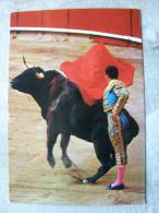Bull - La Corrida -  Corrida De Toros    Pase Por Alto     D95624 - Tauri