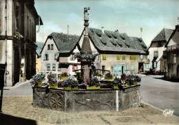 CPSM DAMBACH LA VILLE , Place Du Marché - Dambach-la-ville