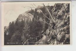 7816 MÜNSTERTAL, Belchen 1932 - Münstertal