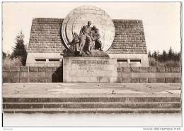 VERDUN. MONUMENT MAGINOT. PRES DU FORT DE SOUVILLE ( SCLPT. G. BROQUET- ARCH. JANSON ET JAPPEY) REF 10101 - War Memorials