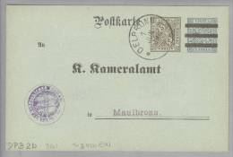 Heimat DE BW OELBRONN 1909-06-01 Auf DIENSTGANZSACHE Mi#DPB2b - Enteros Postales